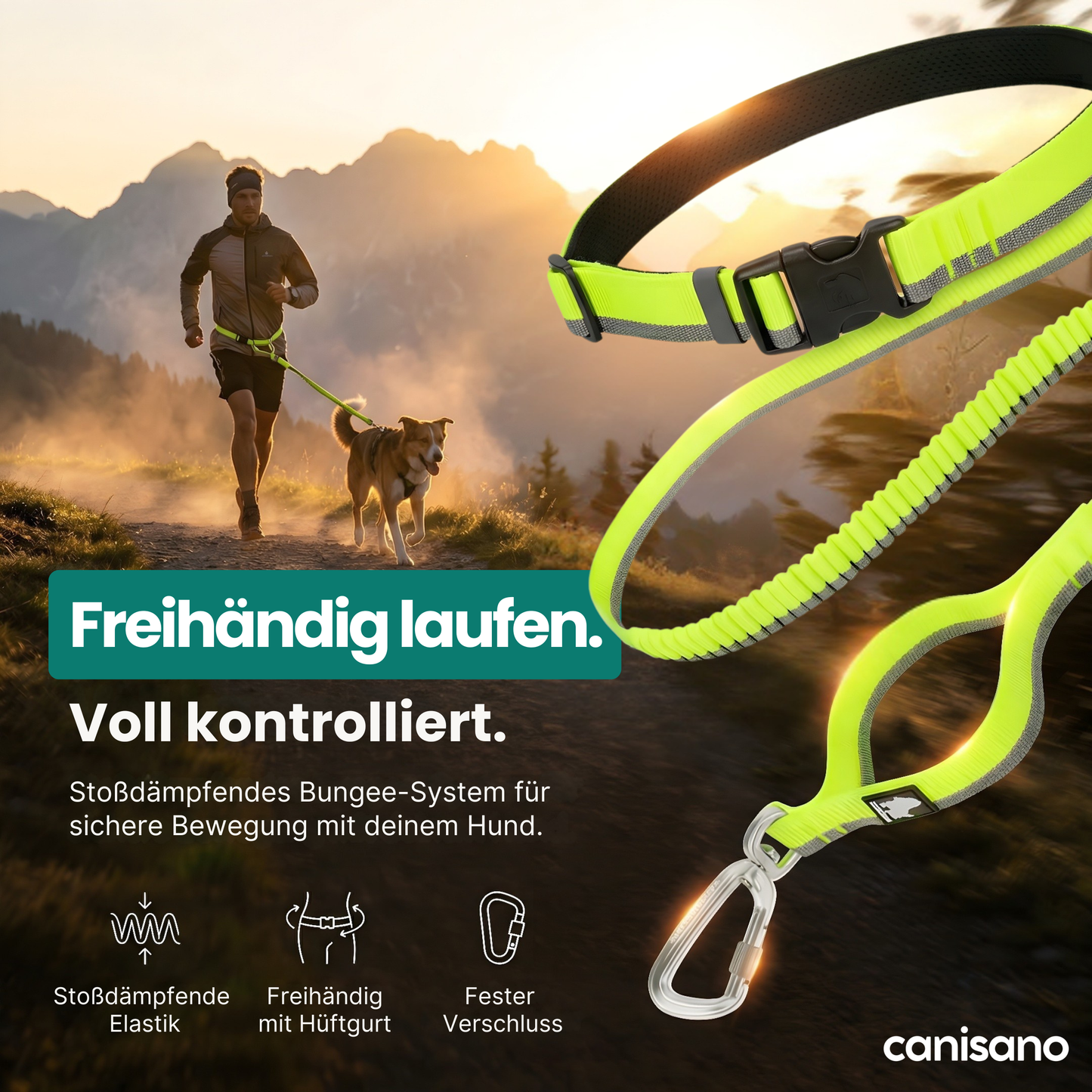 Freihändige Hunde-Laufleine mit Bungee – Sicher & kontrolliert in Bewegung