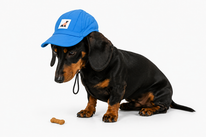 Niedliche Baseballkappe für Hunde & Katzen – Sonnenhut mit Schirm für kleine Hunde und Welpen