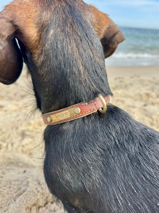 Personalisiertes Hundehalsband aus veganem Kunstleder
