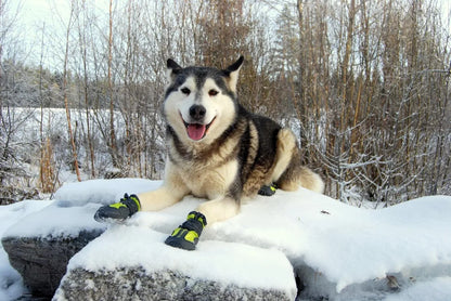 Truelove Dog Shoes Waterproof Anti-Slip Rain Boots Warm Snow Reflective for Small Medium Large Pet Sports Training TLS3961