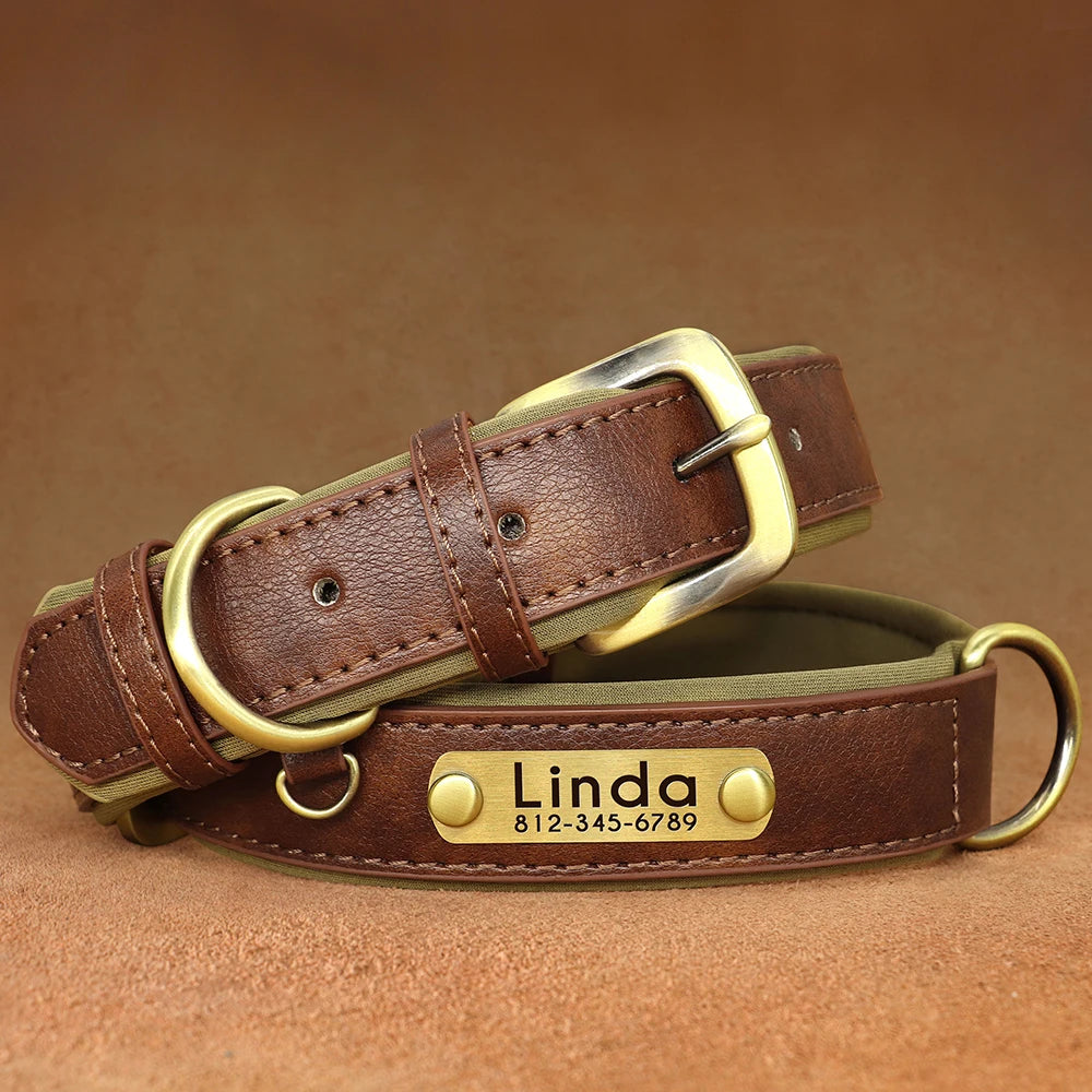 Personalisiertes Hundehalsband aus veganem Kunstleder