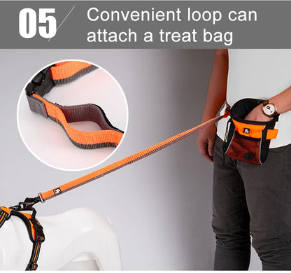 Truelove Pet Running Bungee Leash Hands Free Dog Leash Medium Large Dogs Professiona Carabiner Reflective Stitches NEW TLL2271