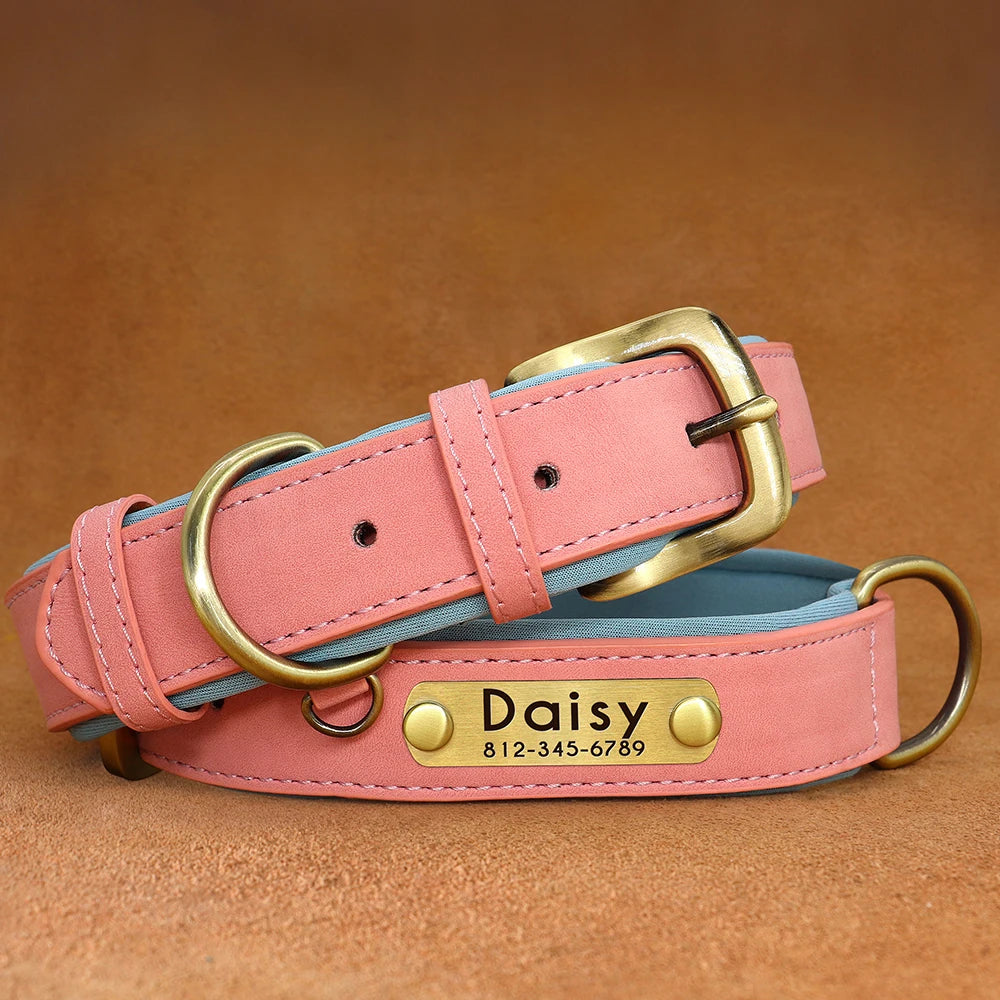Personalisiertes Hundehalsband aus veganem Kunstleder