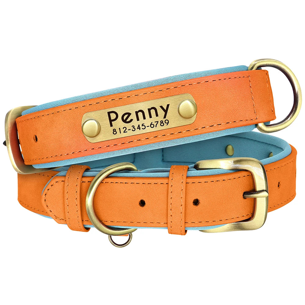 Personalisiertes Hundehalsband aus veganem Kunstleder