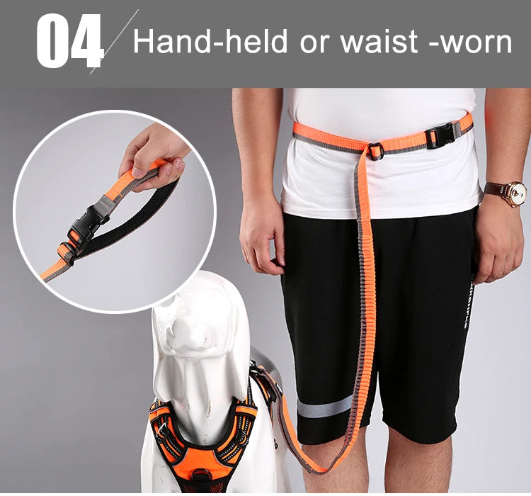 Truelove Pet Running Bungee Leash Hands Free Dog Leash Medium Large Dogs Professiona Carabiner Reflective Stitches NEW TLL2271