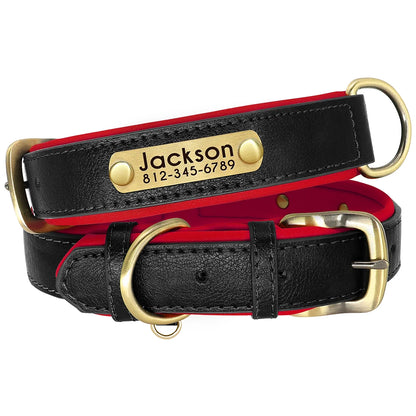 Personalisiertes Hundehalsband aus veganem Kunstleder